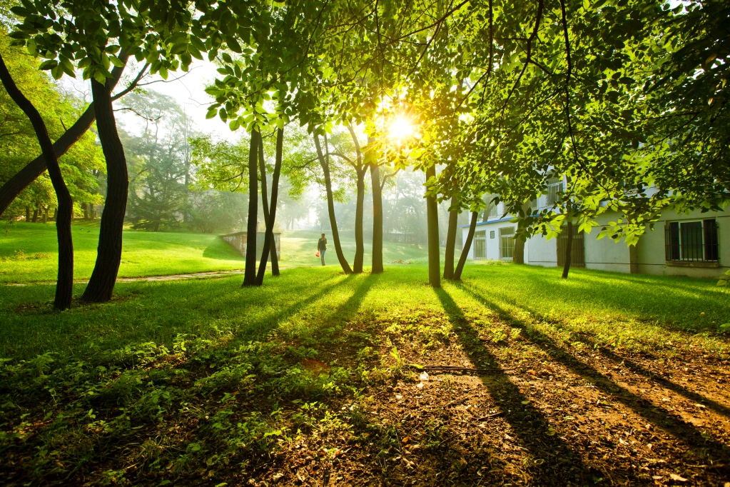 【學在大工】我校研究生在第八屆中國研究生公共管理案例大賽中喜獲佳績