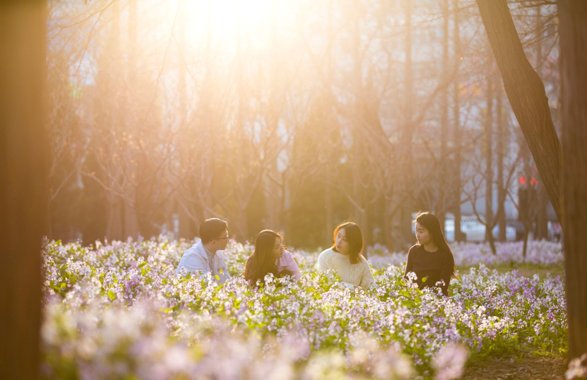 【教育部官網】大連理工大學多措并舉 積極探索拔尖創新人才培養新模式