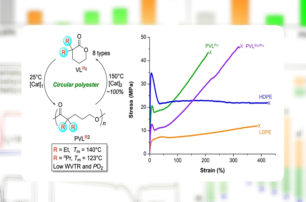 化工學院團隊在高性能化學循環聚合物開發領域取得重要進展